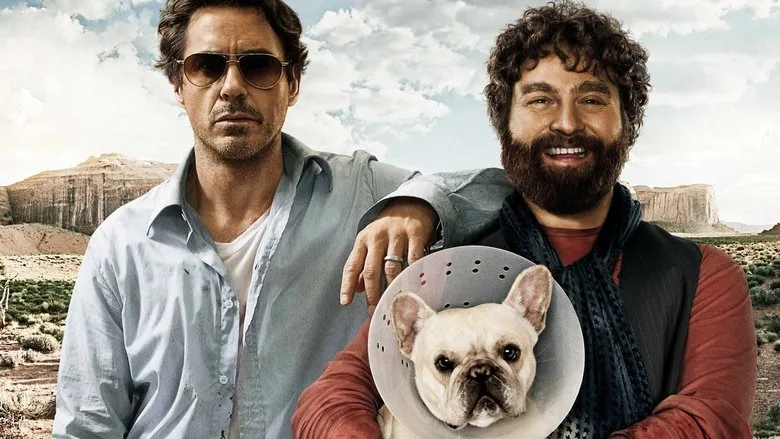 Due Date TMDB poster or backdrop