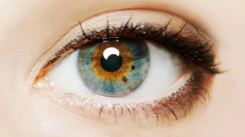 I Origins TMDB poster or backdrop