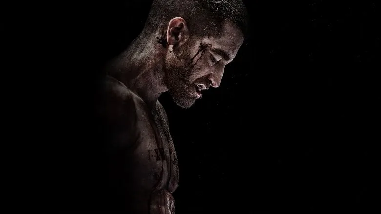 Southpaw TMDB poster or backdrop