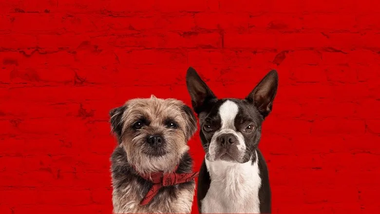 Strays TMDB poster or backdrop