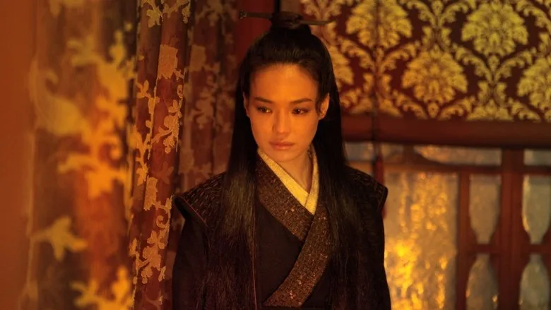 The Assassin poster