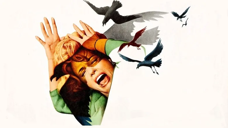 The Birds TMDB poster or backdrop
