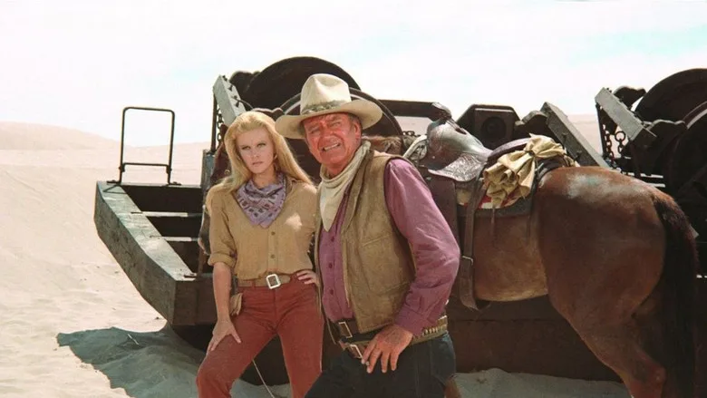 The Train Robbers poster