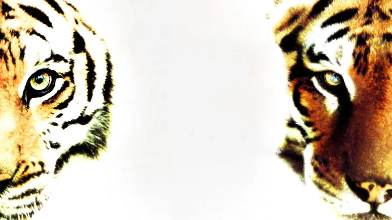 Two Brothers poster