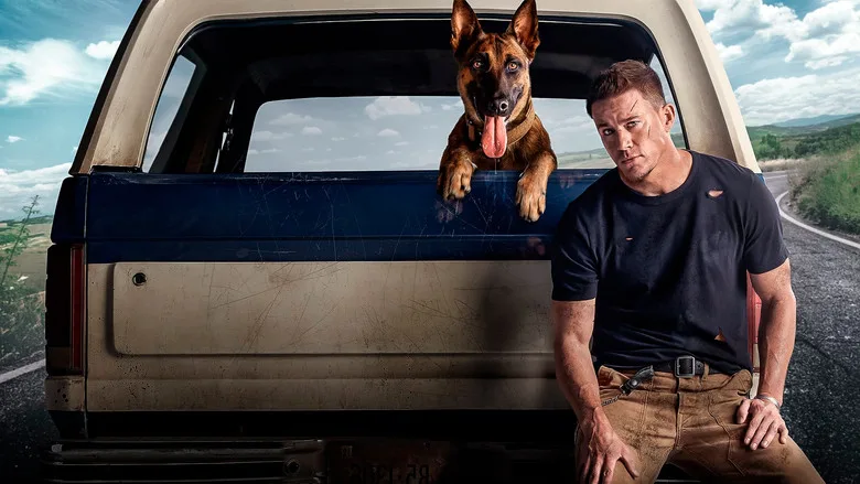 Dog TMDB poster or backdrop
