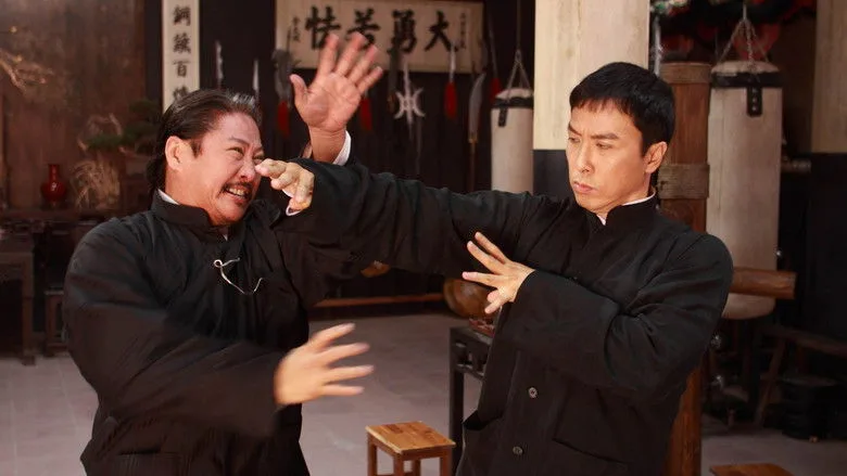 Ip Man 2 TMDB poster or backdrop