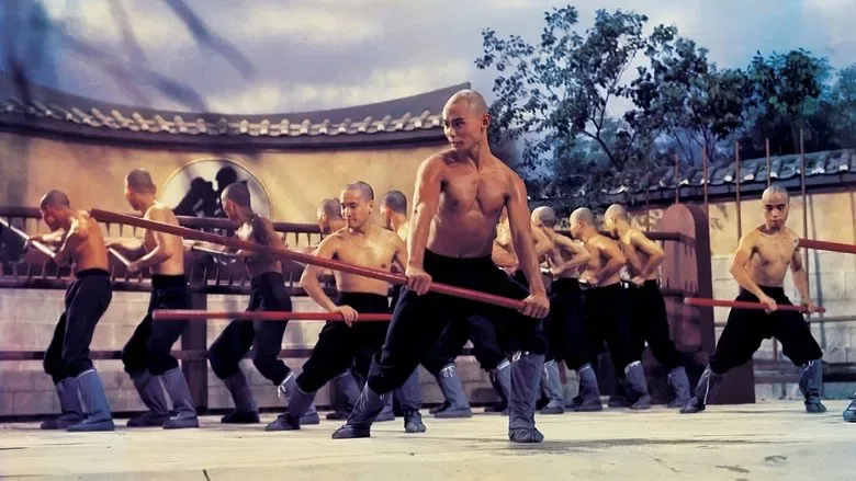 The 36th Chamber of Shaolin TMDB poster or backdrop