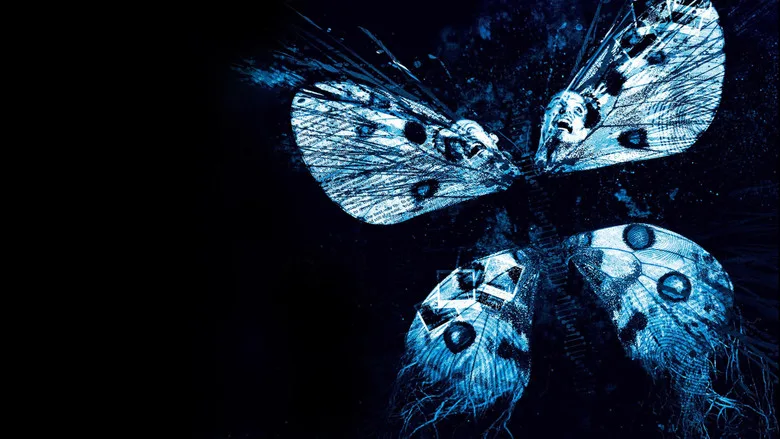 The Butterfly Effect 3: Revelations poster