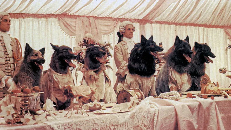 The Company of Wolves TMDB poster or backdrop