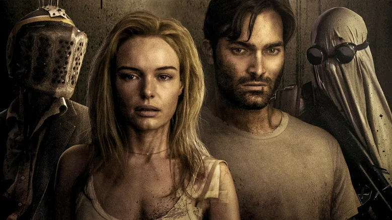 The Domestics poster