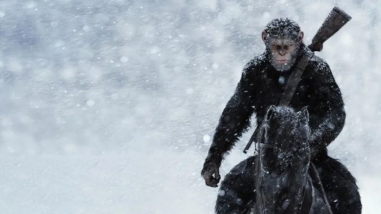 War for the Planet of the Apes TMDB poster or backdrop