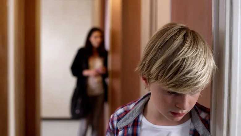 Custody TMDB poster or backdrop