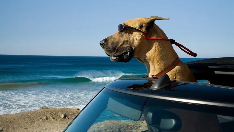 Marmaduke poster