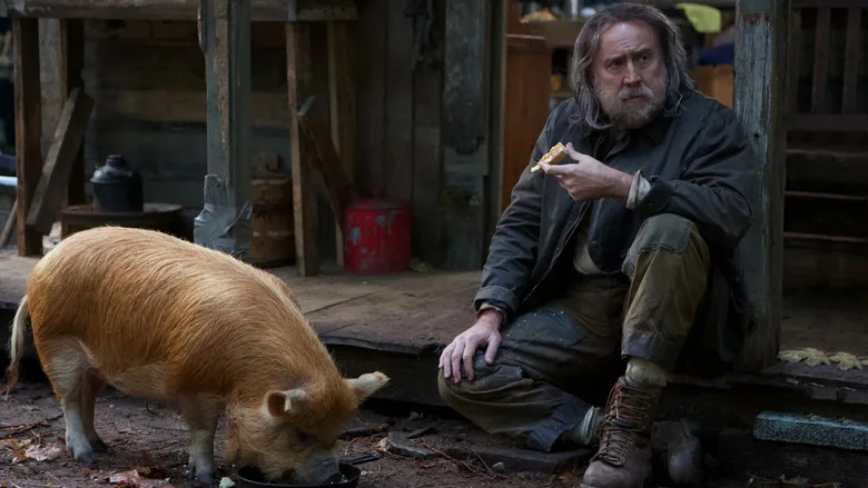 Pig poster