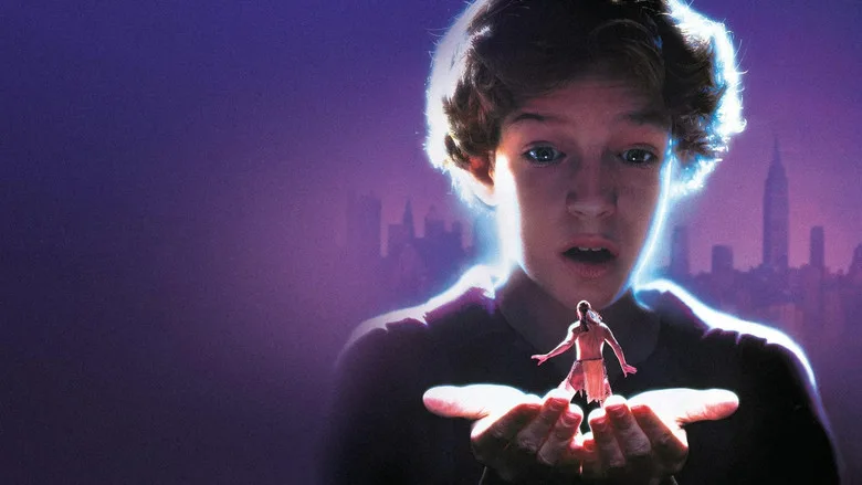 The Indian in the Cupboard poster