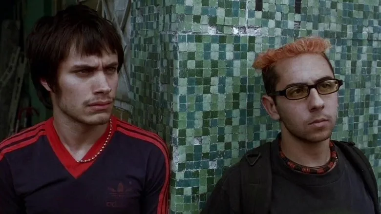 Amores Perros TMDB poster or backdrop