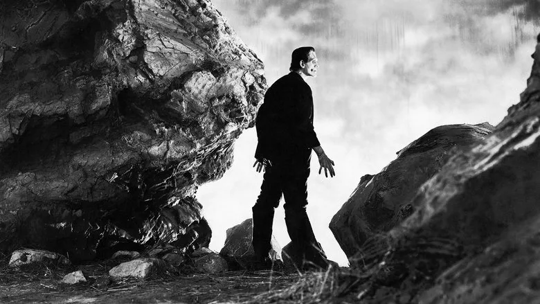 Frankenstein TMDB poster or backdrop