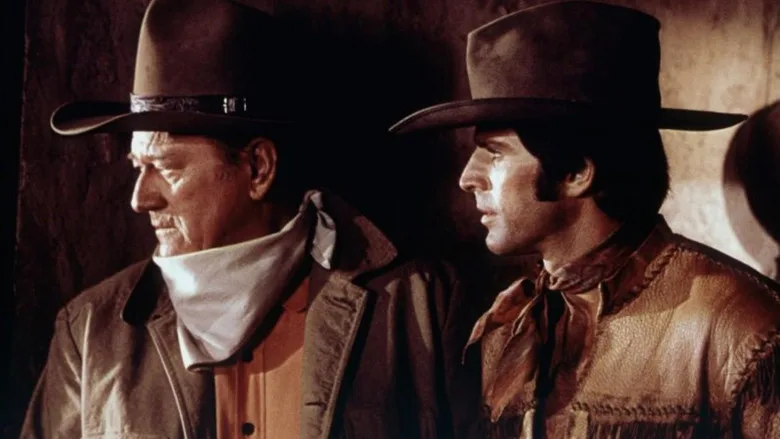 Rio Lobo poster