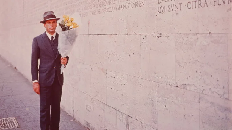 The Conformist TMDB poster or backdrop