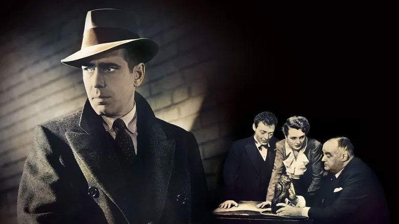 The Maltese Falcon TMDB poster or backdrop