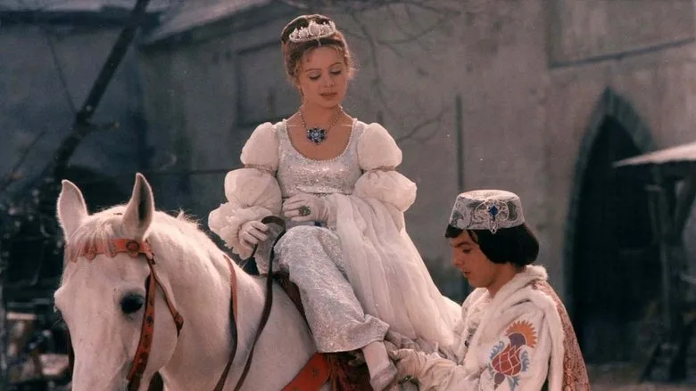 Three Wishes for Cinderella TMDB poster or backdrop