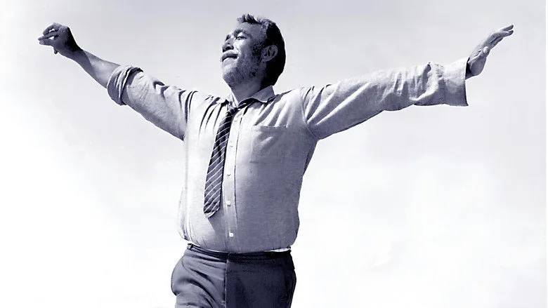 Zorba the Greek TMDB poster or backdrop