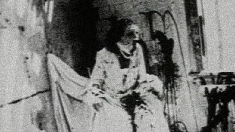 Begotten poster