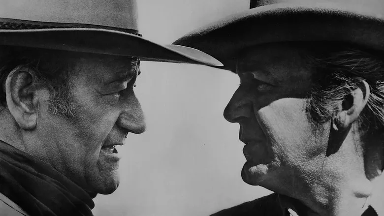 Chisum poster