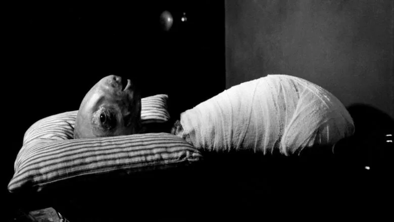 Eraserhead TMDB poster or backdrop