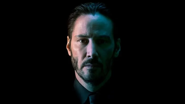 John Wick TMDB poster or backdrop