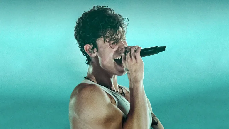 Shawn Mendes: Live in Concert poster