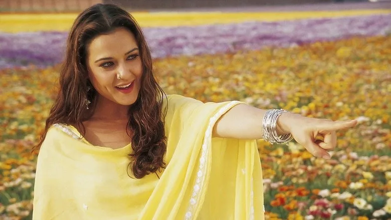 Veer-Zaara TMDB poster or backdrop