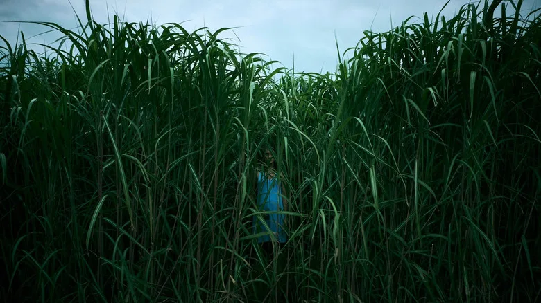 In the Tall Grass poster