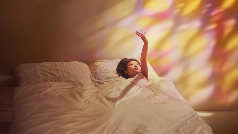 Left-Handed Girl TMDB poster or backdrop