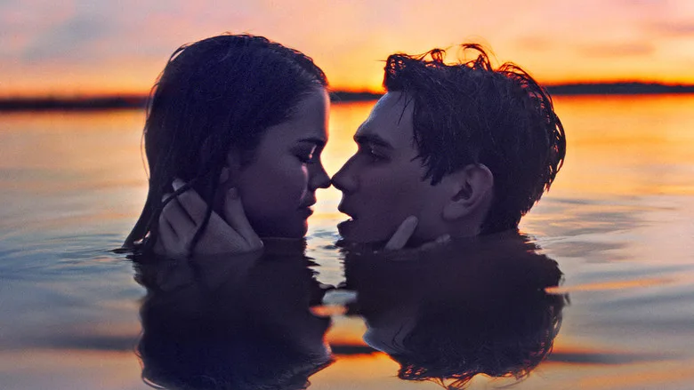 The Last Summer TMDB poster or backdrop