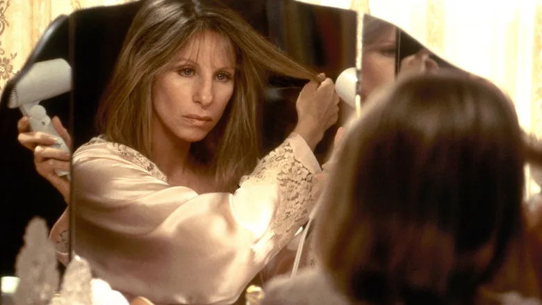 The Mirror Has Two Faces TMDB poster or backdrop