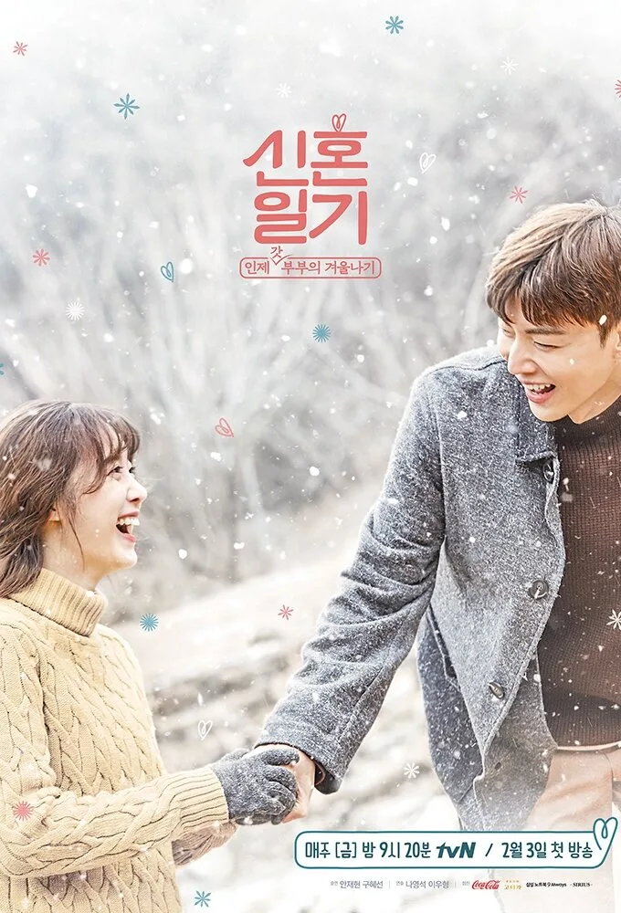 Newlyweds Diary poster