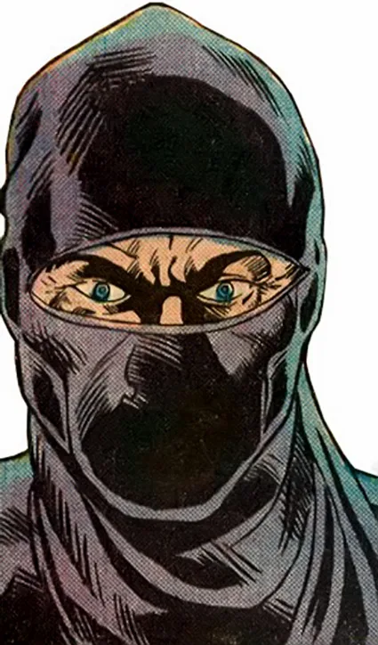 Ninja comic character