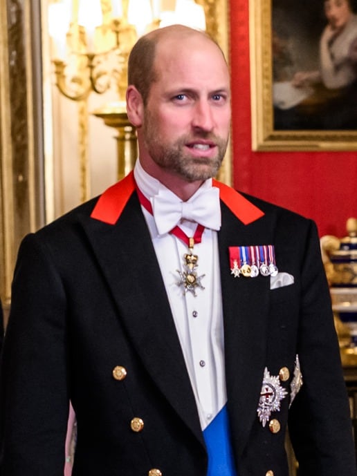 William, Prince of Wales in a public royal portrait or appearance