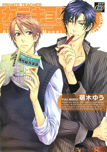Private Teacher manga artwork