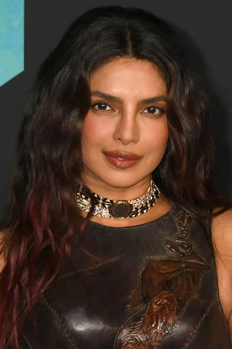 Priyanka Chopra Jonas filmography