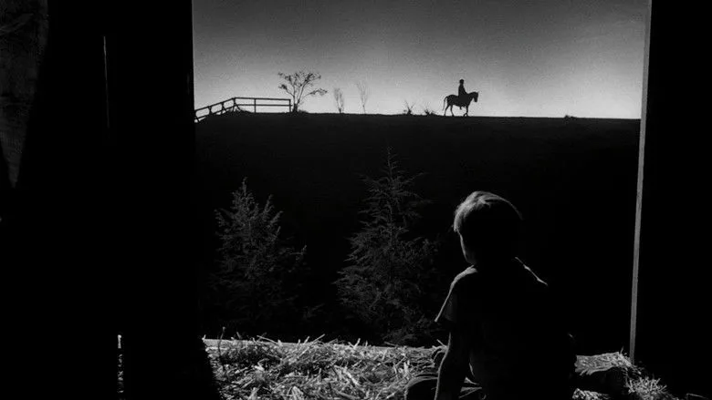 The Night of the Hunter TMDB poster or backdrop