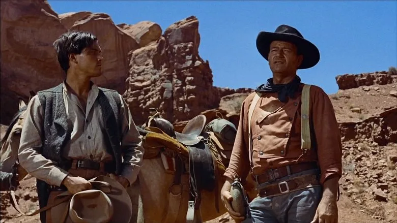 The Searchers TMDB poster or backdrop