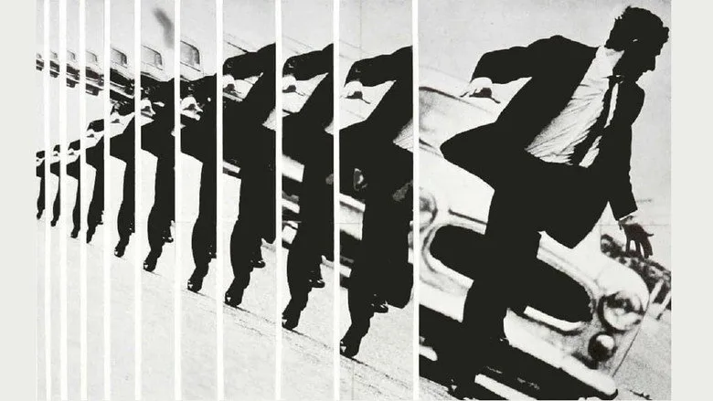 Z TMDB poster or backdrop