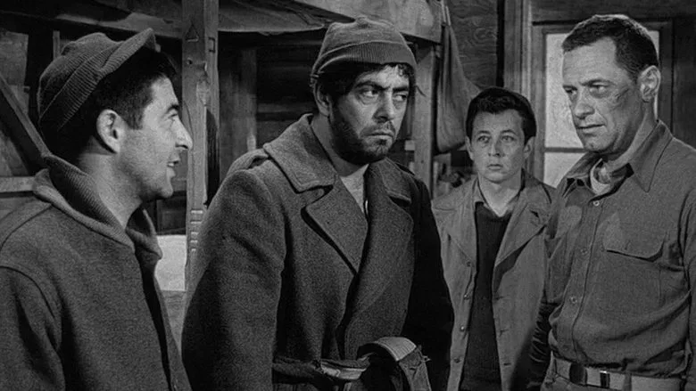 Stalag 17 TMDB poster or backdrop