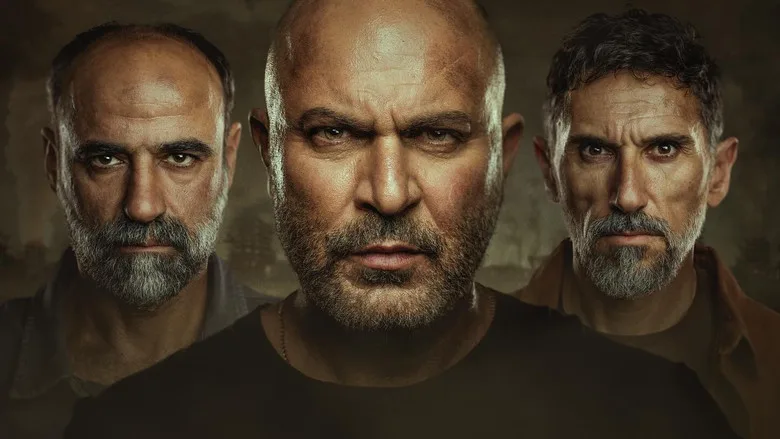 Fauda TMDB poster or backdrop