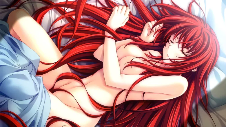 High School DxD TMDB poster or backdrop