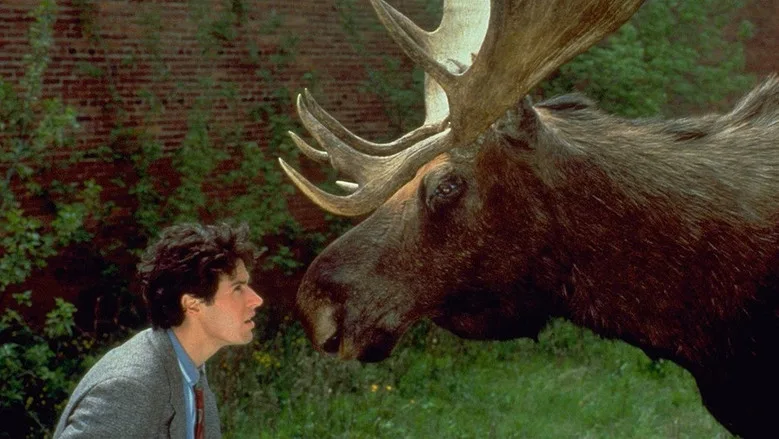 Northern Exposure TMDB poster or backdrop