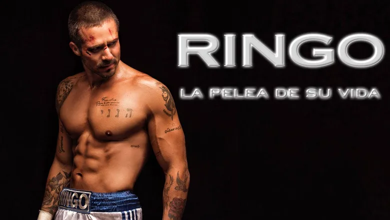 Ringo, la pelea de su vida TMDB poster or backdrop