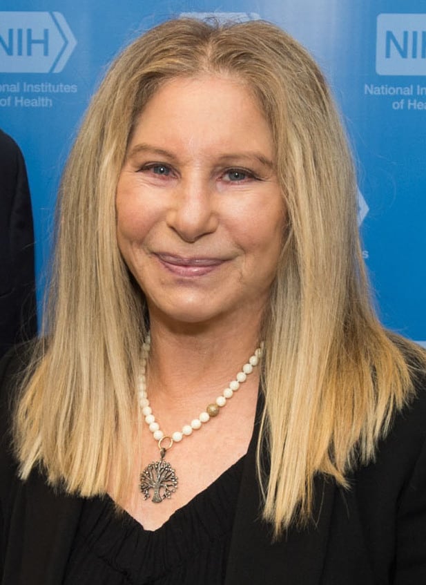 Barbra Streisand reference image